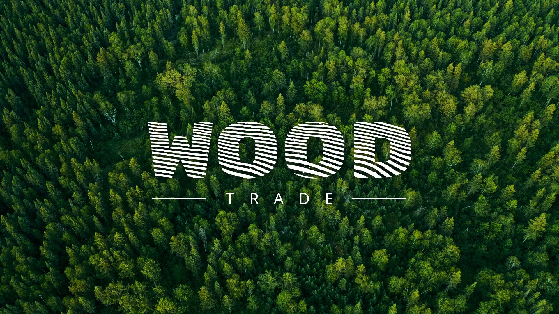 Разработка интернет-магазина компании «Wood Trade» в Ахтубинске