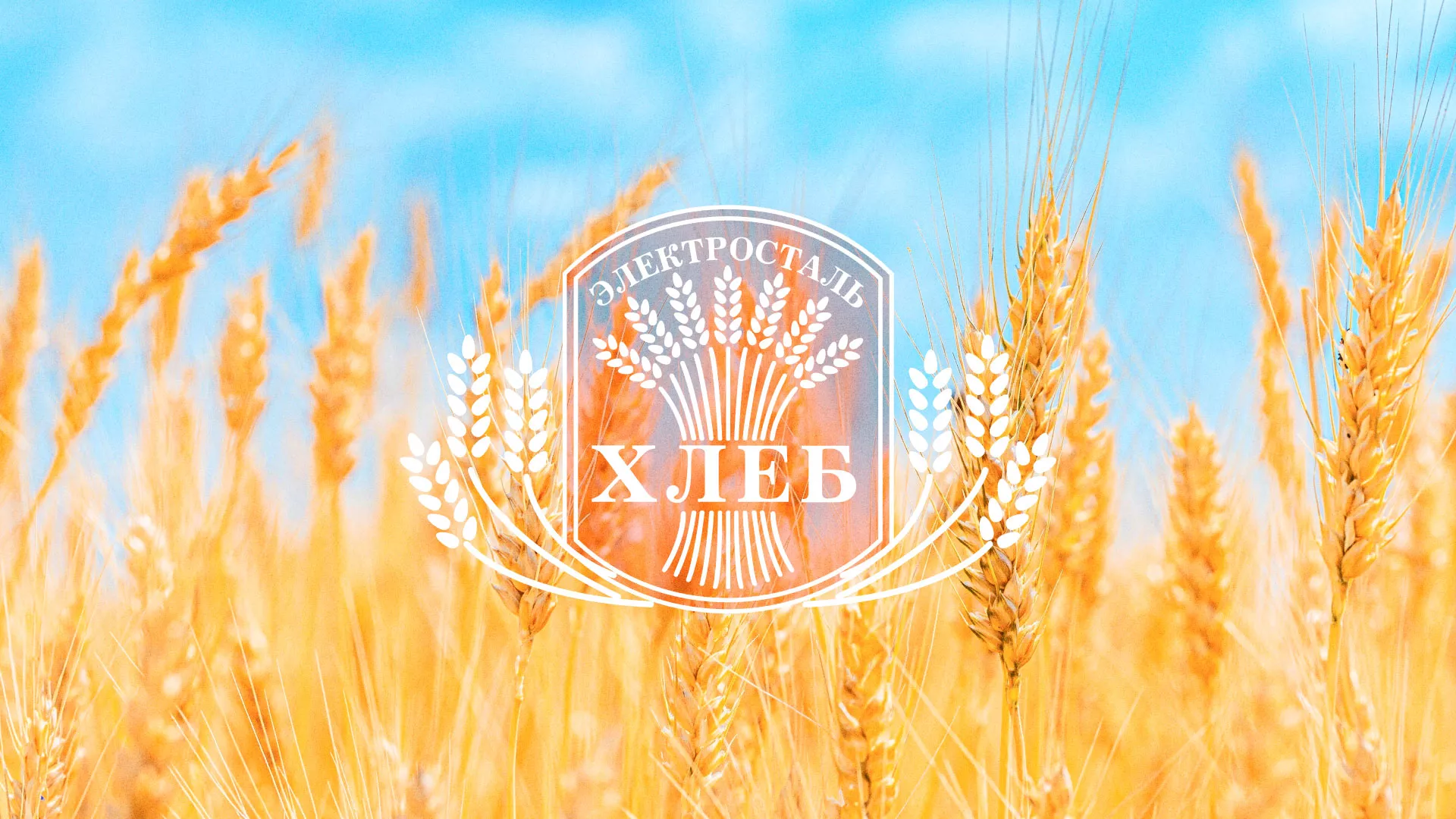 Создание сайта для хлебзавода в Ахтубинске