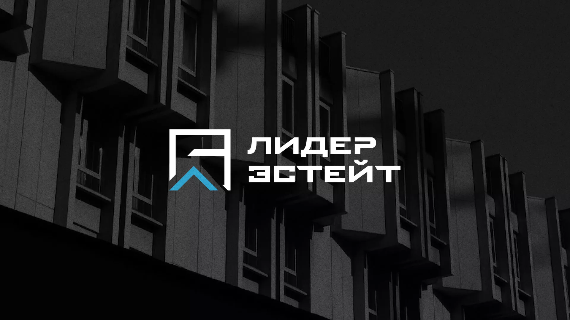 Разработка логотипа агентства недвижимости «Лидер Эстейт» в Ахтубинске